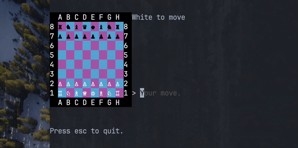 In terminal chess program demonstration of suggestion menu below the board that attempts to guess what move the user is trying to use