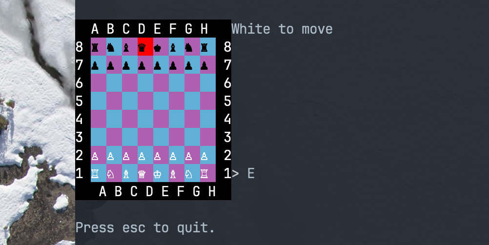 chess board inside terminal with E as player input and D8 highlighted, this of course being not helpful information