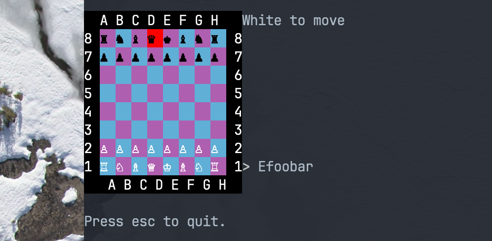 chess board inside terminal with Efoobar as player input and D8 highlighted, this is even less helpful than the last highlight