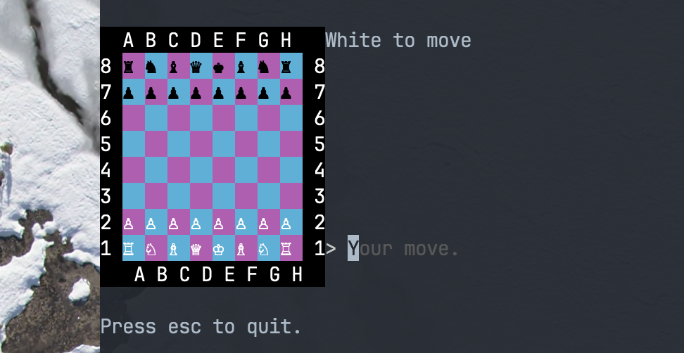 chess board inside terminal with simple prompts for player input