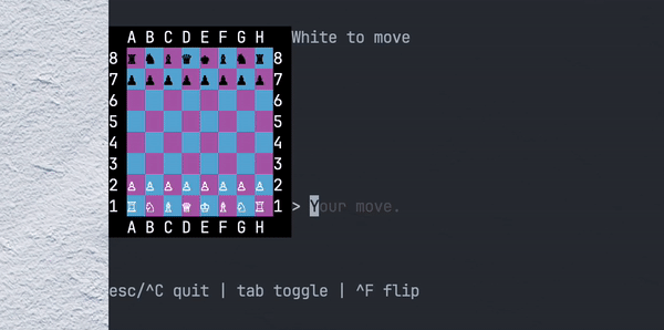 Bubble chess crashing instantly when shift+tab is pressed